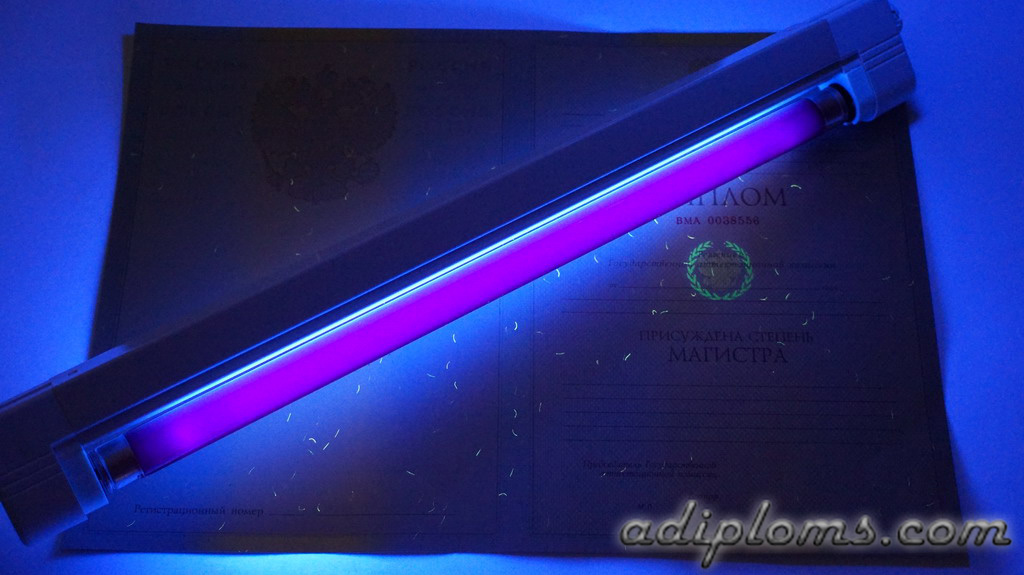 Диплом магистра 2004-2009 Фото Диплом магистра 2004-2009 Фото